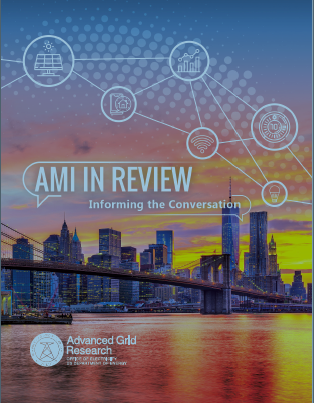 AMI in Review: Informing the Conversation